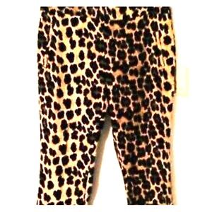Zara Leopard Print Pants